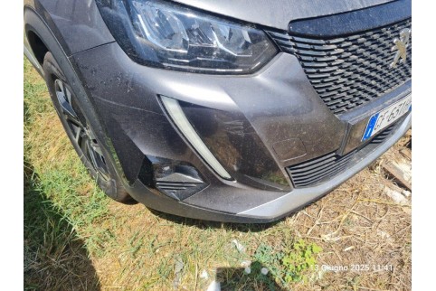 2021 Peugeot 2008, Dyzelinas